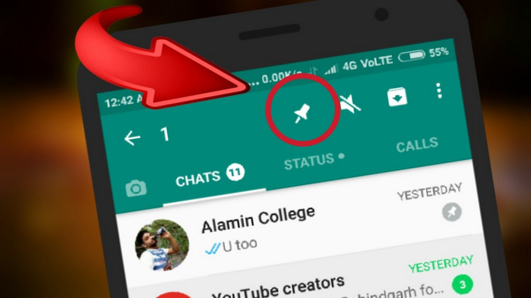 Whatsapp New Features Pin Chat